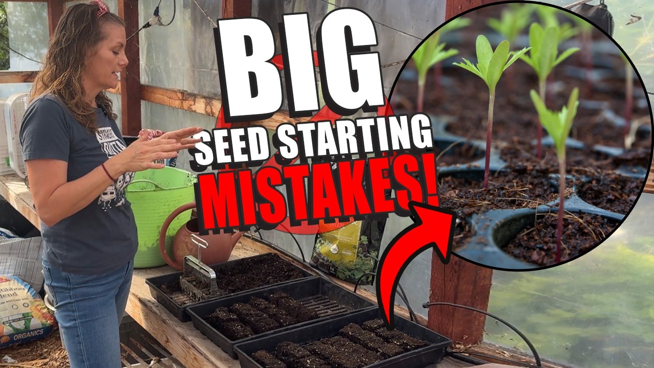 Seed Starting Mastery for Zone 9/10 – The Mistakes No One Talks About