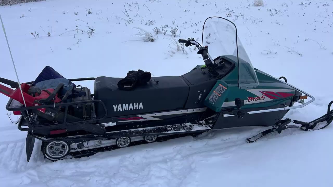 Yamaha Bravo 2010