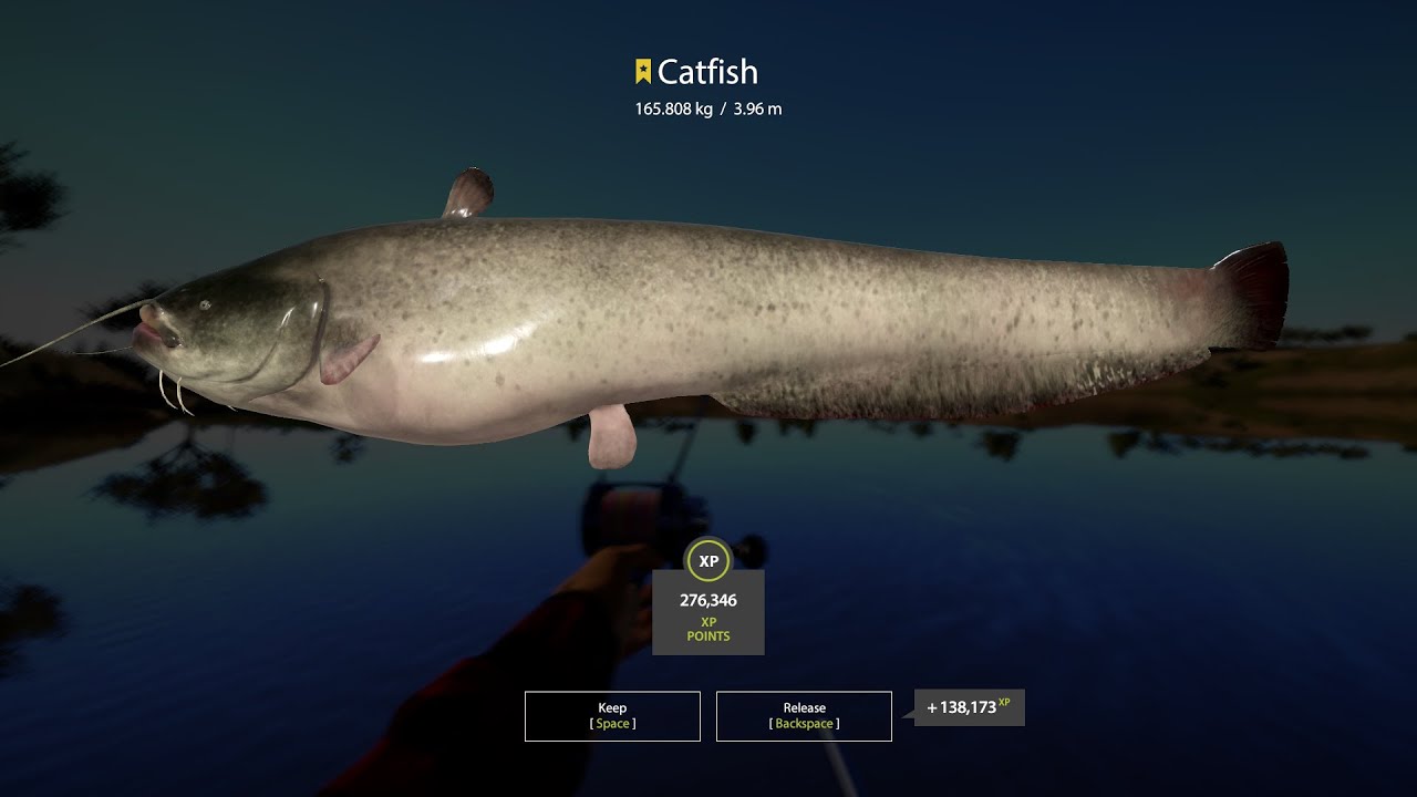 Russian Fishing 4 Trophy Catfish