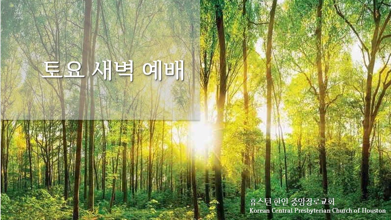 2026년 3월 14일 토요 새벽 예배