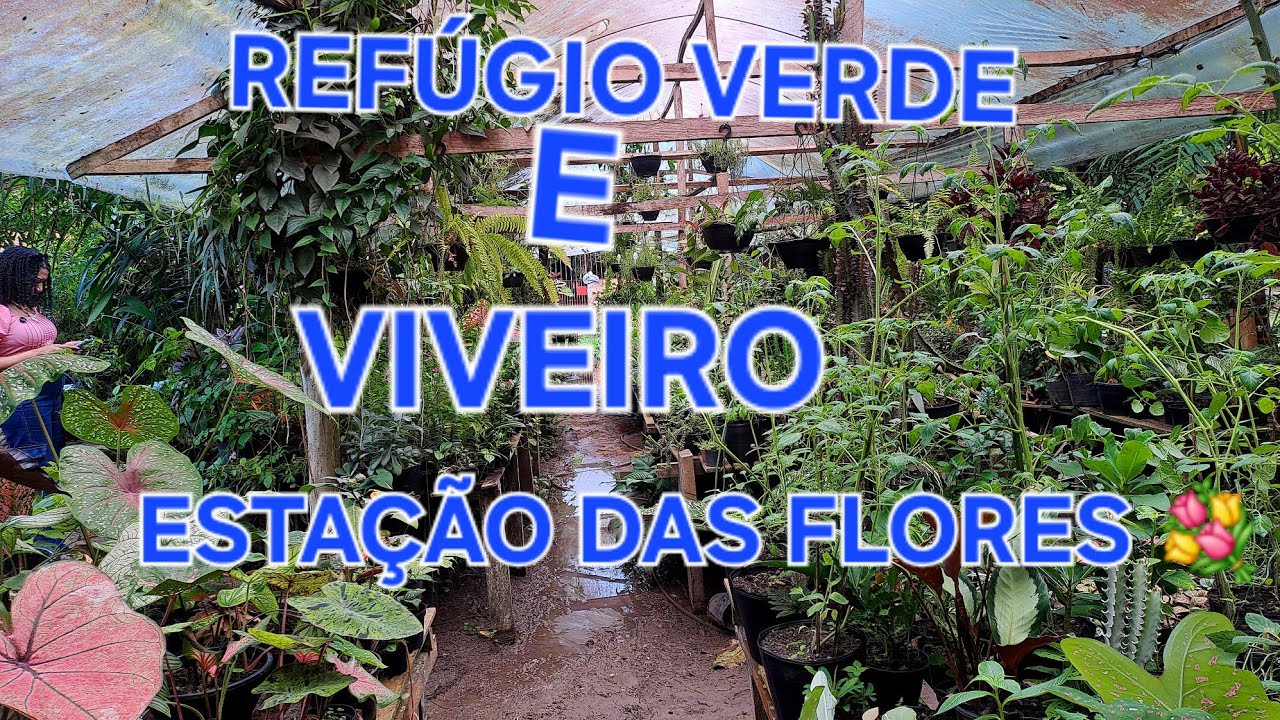 REFÚGIO VERDE   #VIVEIRO ESTAÇÃO DAS FLORES 💐 