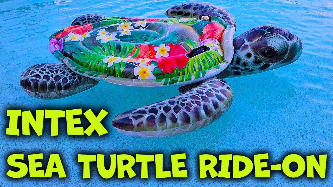INTEX Large Sea Turtle Ride On Floaty - Review