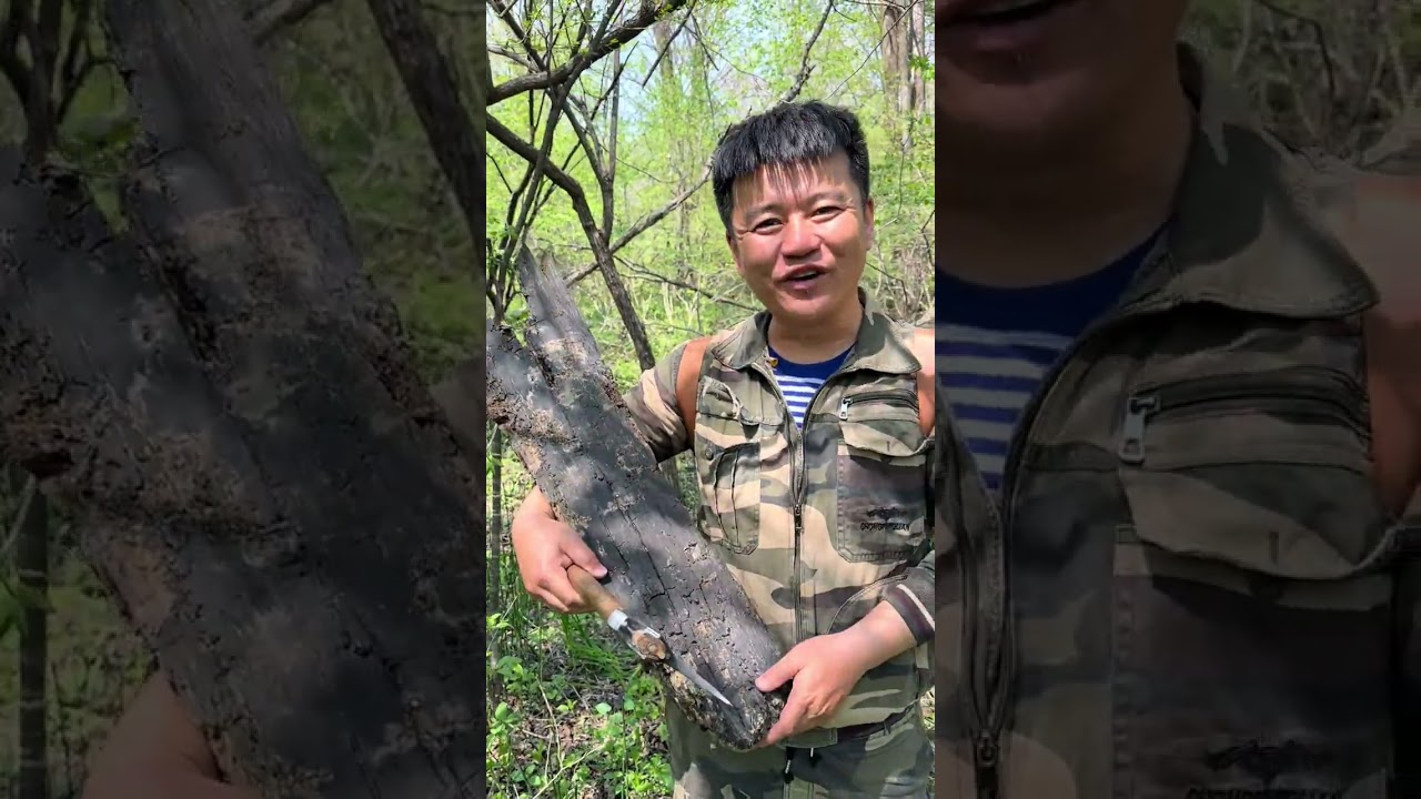 因为上次的走失，老李大娘的儿子要带她去北京了，对她老人家可能也是好事#可怜天下父母心啊 #故土难离