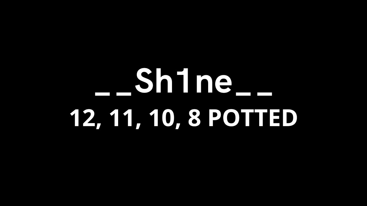 __Sh1ne__ (12, 11, 10, 8 POTTED)