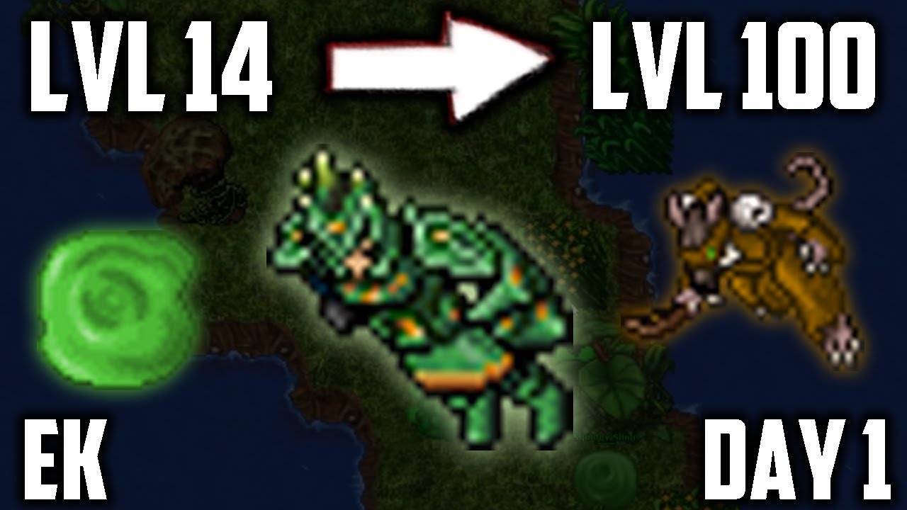 Knight: From LVL 14 to 100 in 5 DAYS - Part 1 (Day 1)
