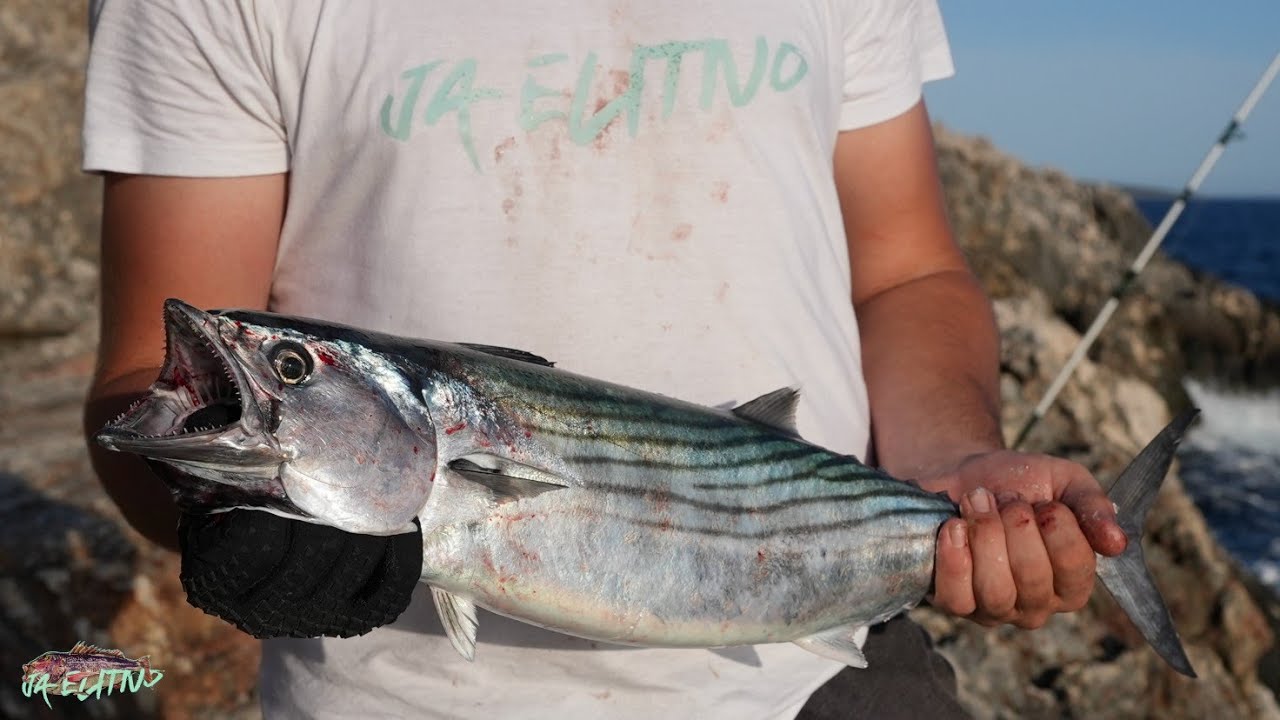Catch and Cook: 2-Day Fishing Trip on Cres and Lošinj Islands, Croatia