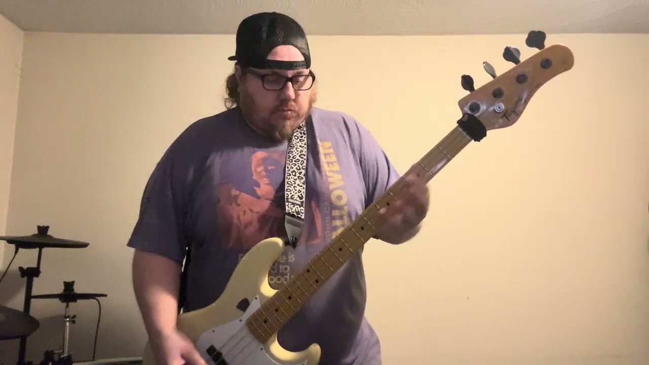 The Hives - Hate to say I told you so bass cover