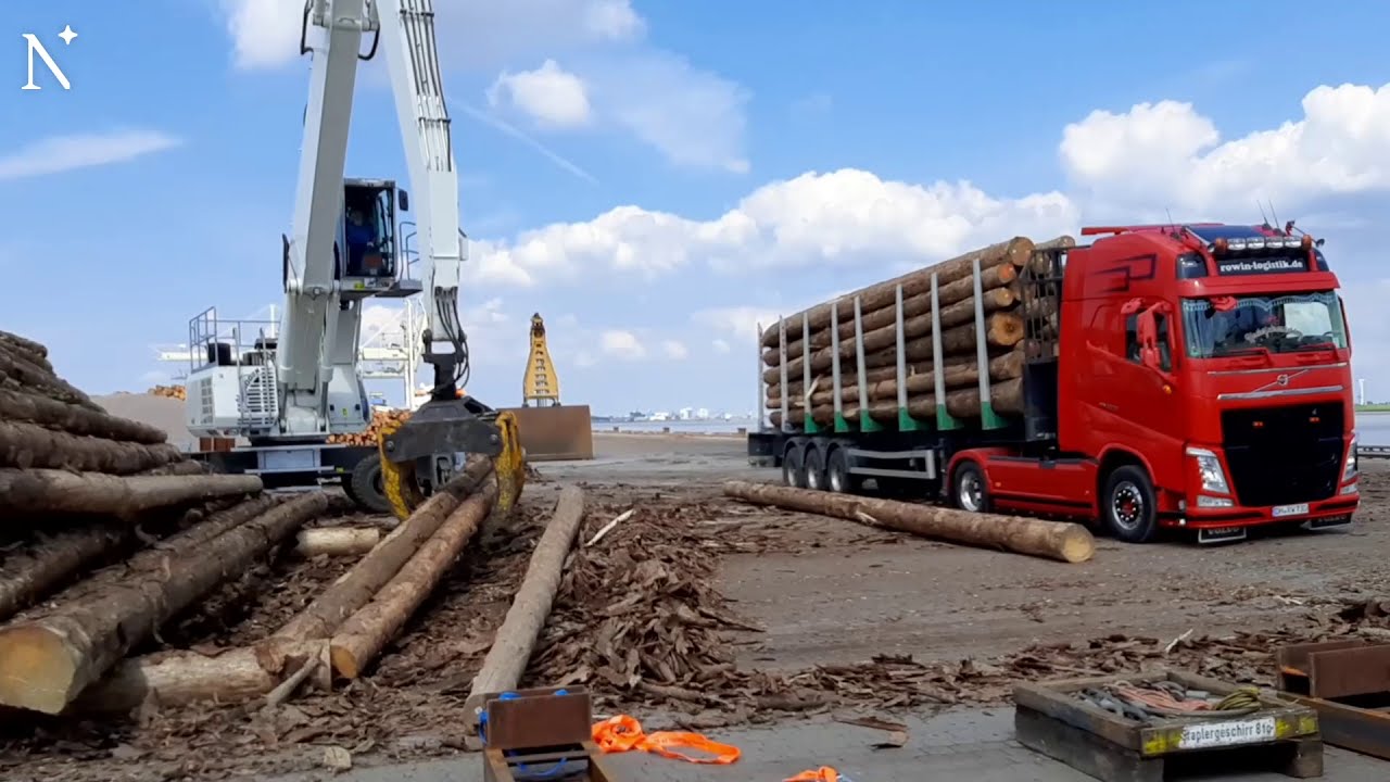 Bauholz für China aus Nordenham