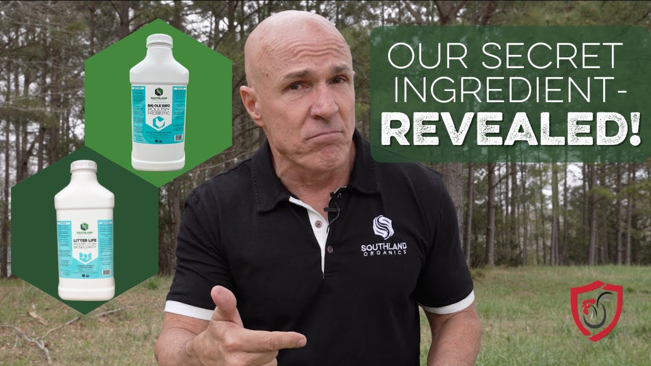 The SECRET INGREDIENT to a Superior Poultry Supplement