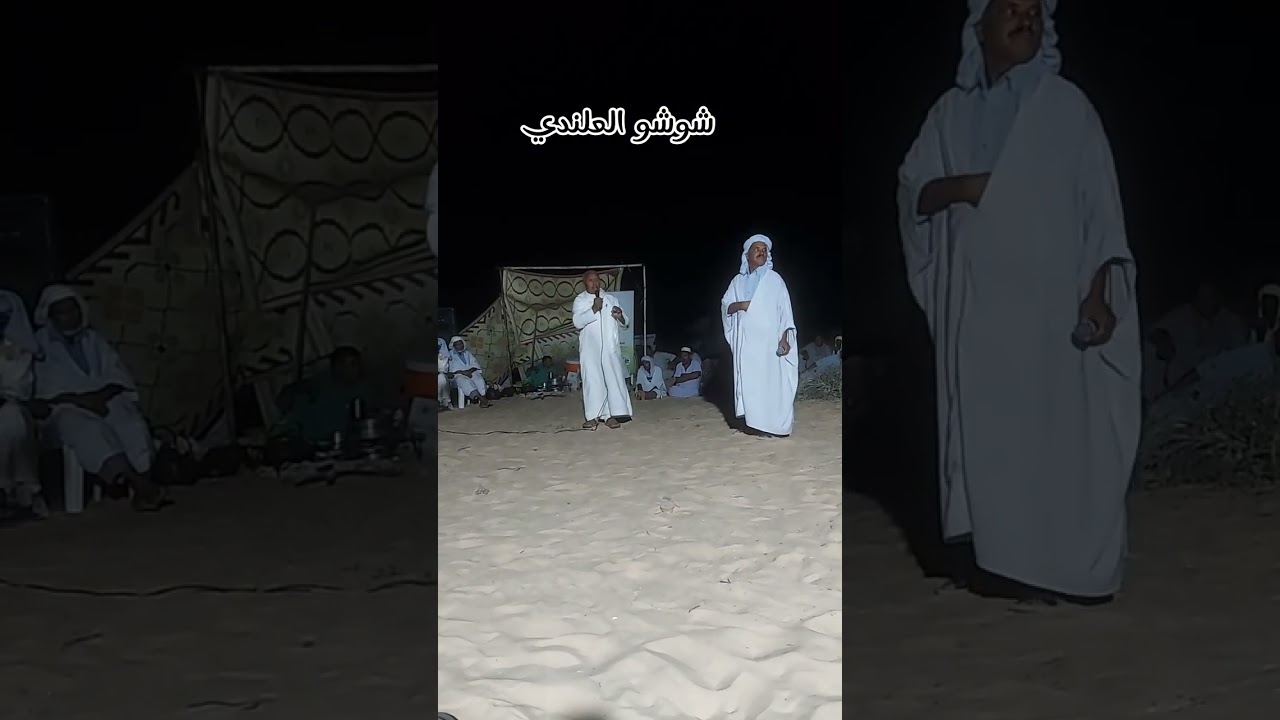 مرواحة شعراء وادي سوف