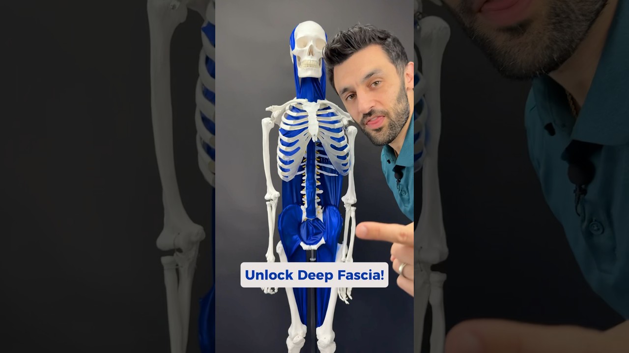The deep line of fascia could be contributing to your head, neck, or jaw pain. #fascialrelease