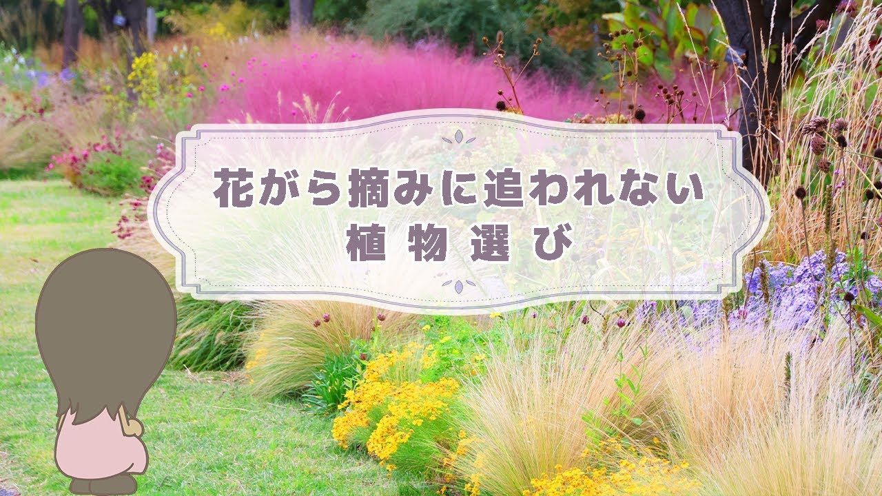 お手本にしたい！こんなにも美しい宿根草の庭『注目の植物選び』