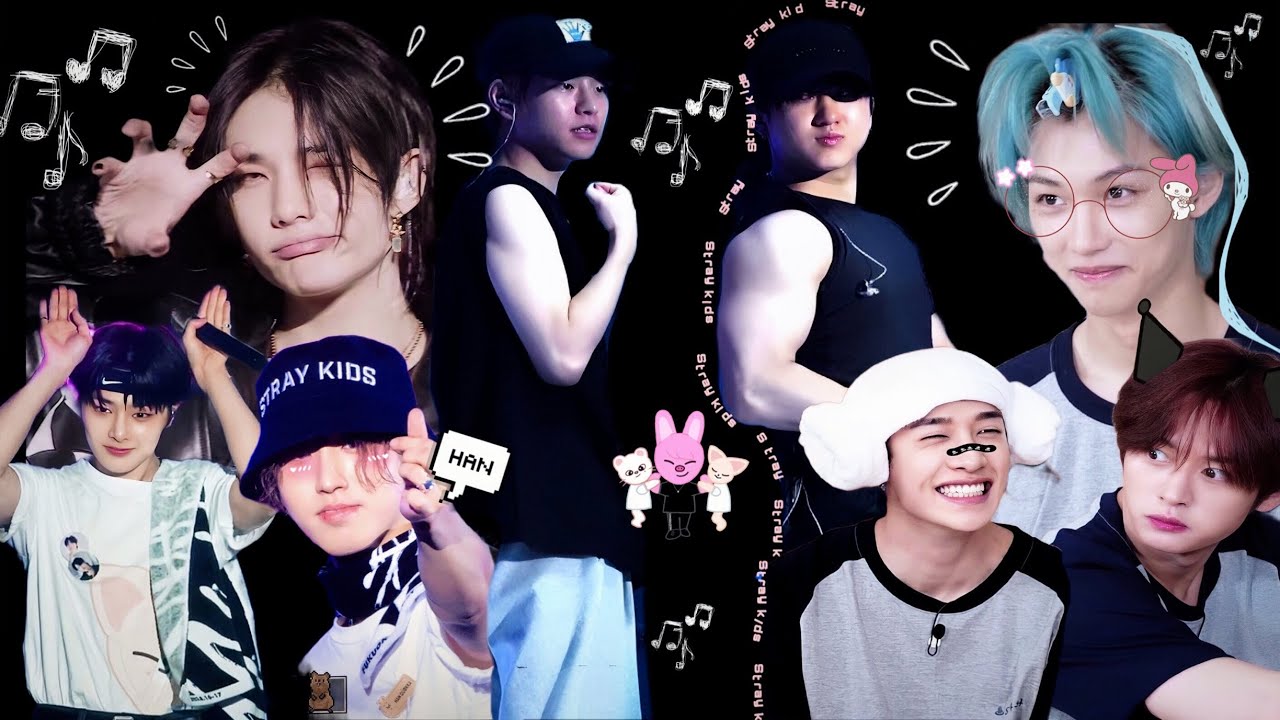 Stray kids tiktok compilation that’s the same length of a sitcom because that’s what it’s giving