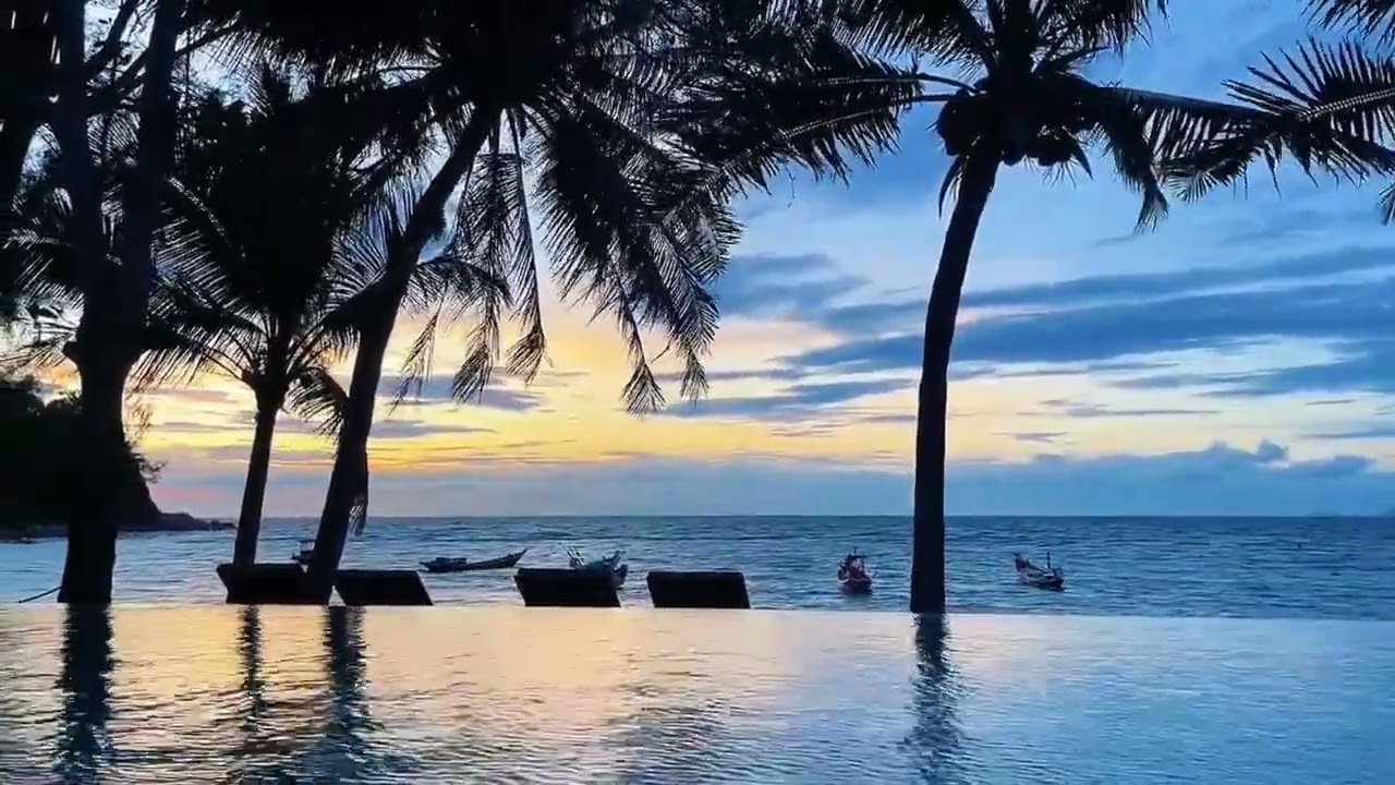 Tropical Vacation Ambience 🌊 Poolside Palm Trees + Bossa Nova Music for Work & Relaxation