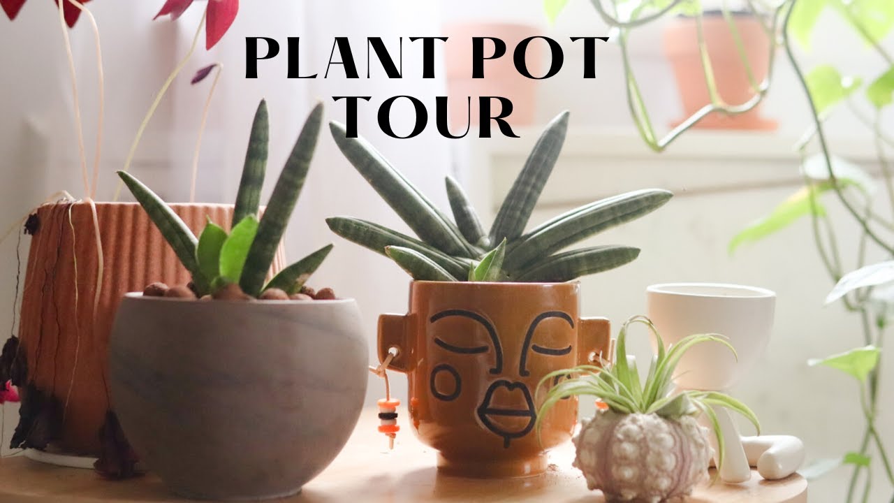 My Plant Pot Collection | My Pottery Collection + Plant Accessories (Pt.1)