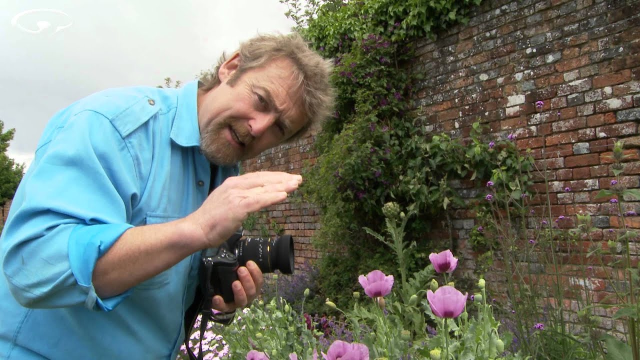 Macro Photography Tips Part 1