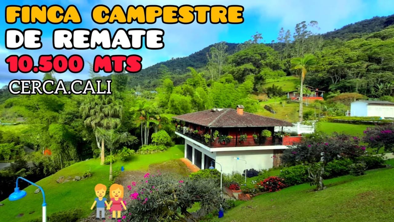 #PEDROPARRA #GANGAZO 🏝Finca Con( 3 ) Nacimientos De agua cerca Cali 10.500 mts #Colombia