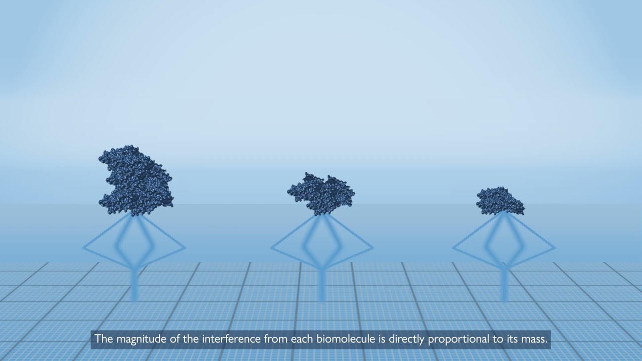 How a mass photometer works animation