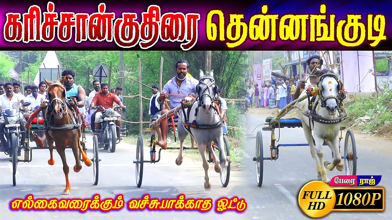 தென்னங்குடி கரிச்சான்குதிரை பந்தயம் #perai_raj_digital #reklarace2026