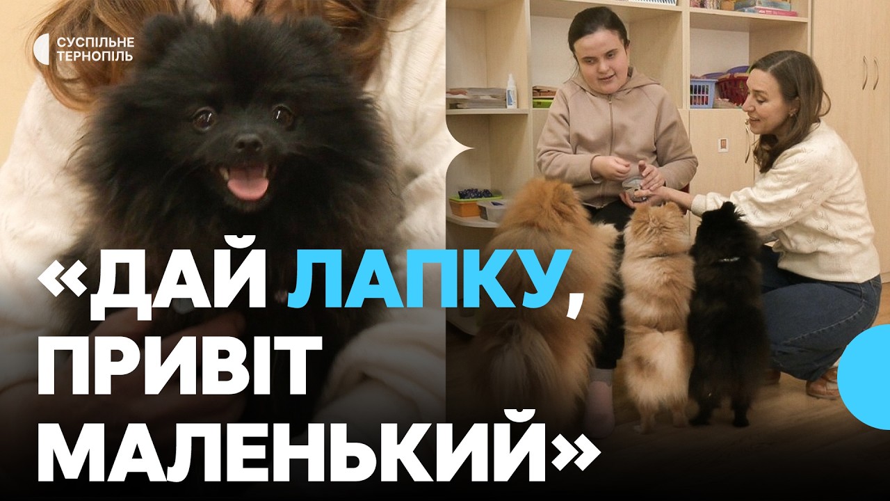 Собаки допомагають у реабілітації дітей з інвалідністю