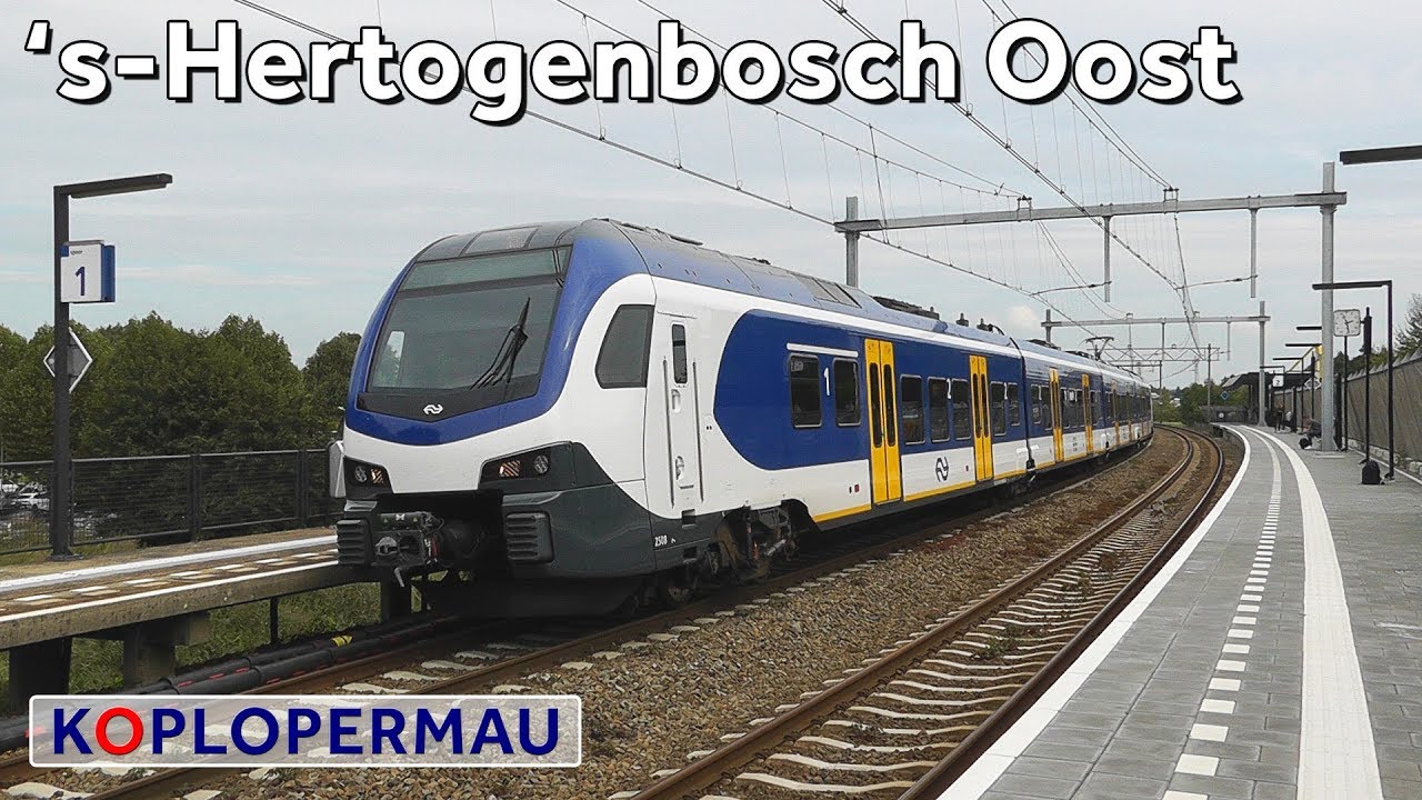 Treinen op station 's-Hertogenbosch Oost (treinen compilatie)