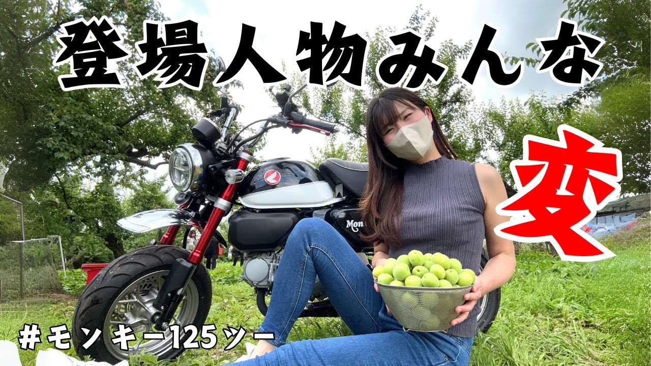 モンキー125でソロ梅狩りに行ったんだけど...