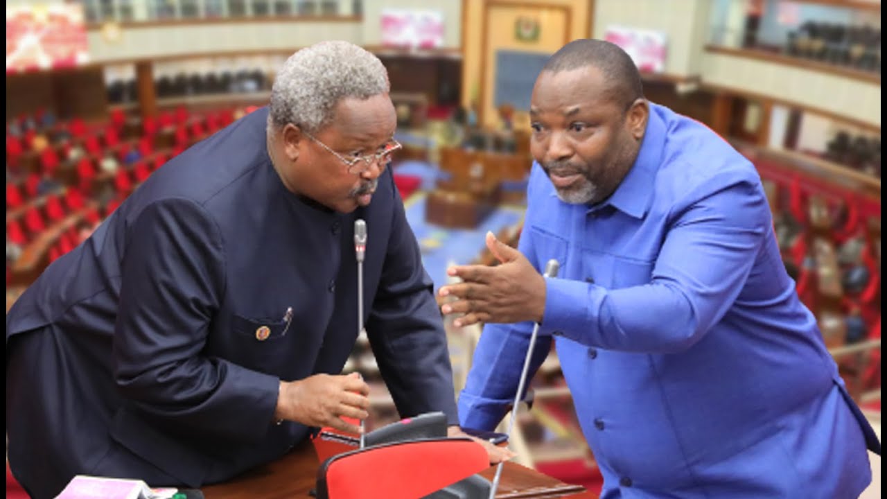 LUSINDE NA OLE SENDEKA WAVAANA BUNGENI, RIPOTI YA CAG 