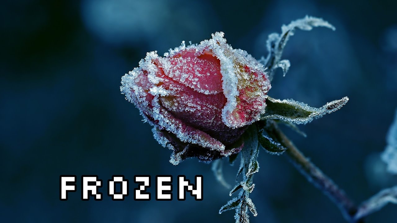 Madonna - Frozen - Violin Cover