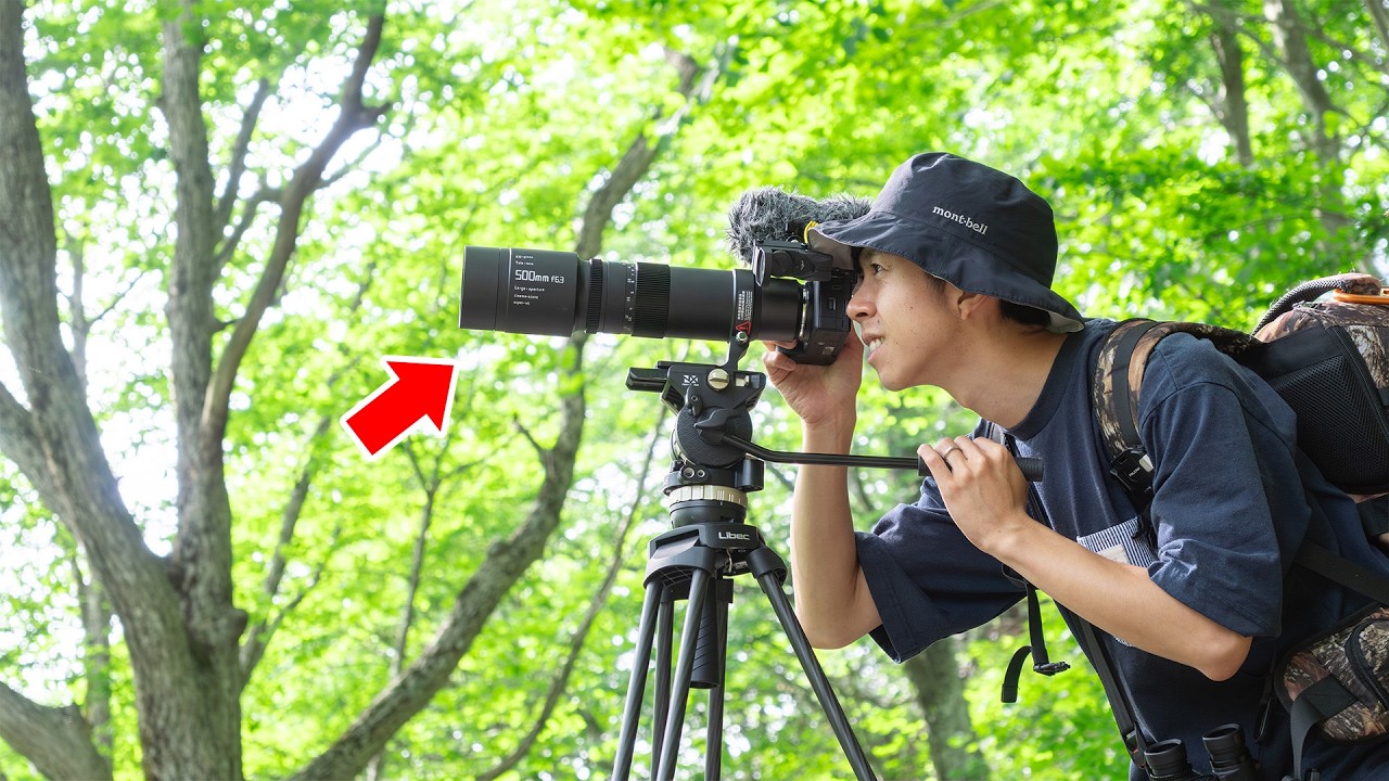 5万円台の狂った価格の望遠レンズで野鳥撮影すると…【銘匠光学TTArtisan 500mm f/6.3 Telephoto】