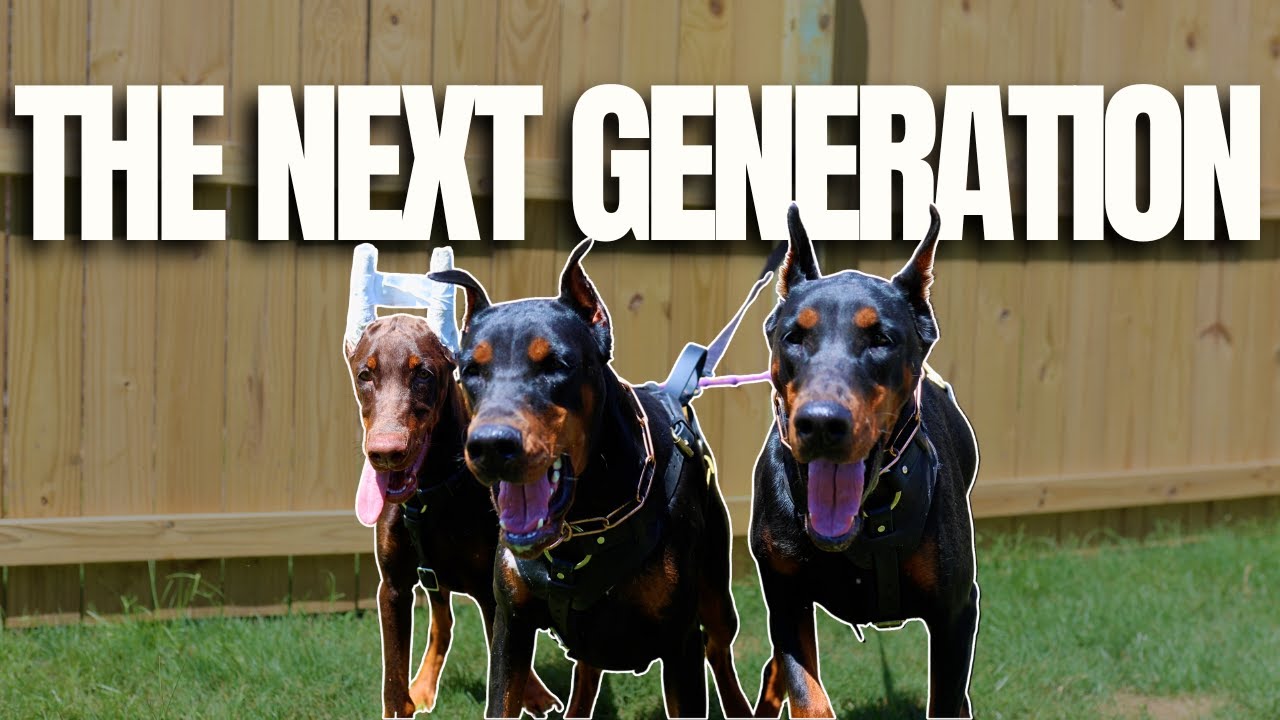 Our Next Generation Is Here...