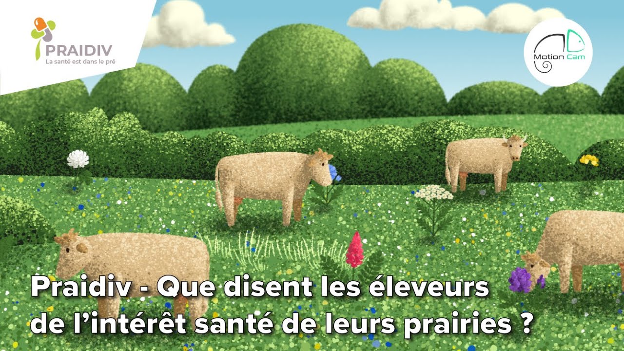 Praidiv - Que disent les éleveurs de l'intérêt santé de leurs prairies ?