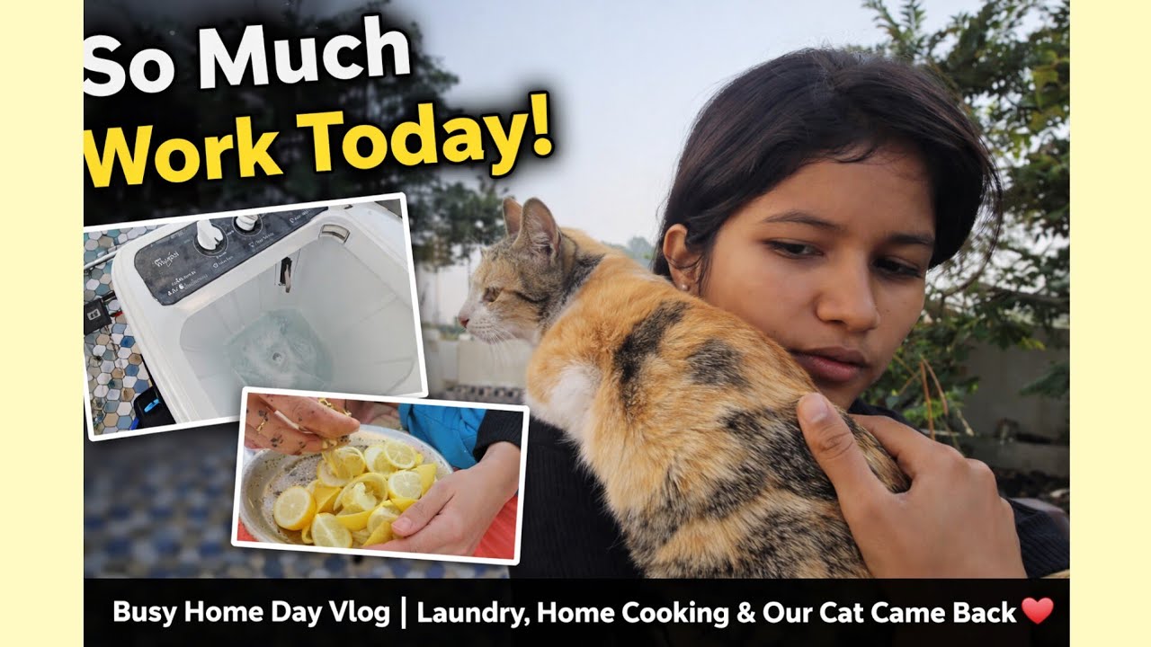 आज बहुत काम किया😮‍💨Laundry+Cooking Day🧺🍲बिल्ली 5 दिन बाद घर आई🐱 #dailyvlog#familyvlog#365DayChallnge