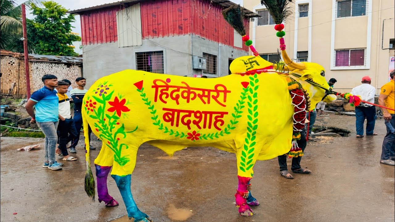 | बैल पोळा सजावट 2025 | Bail Pola Festival | बेंदुर सण