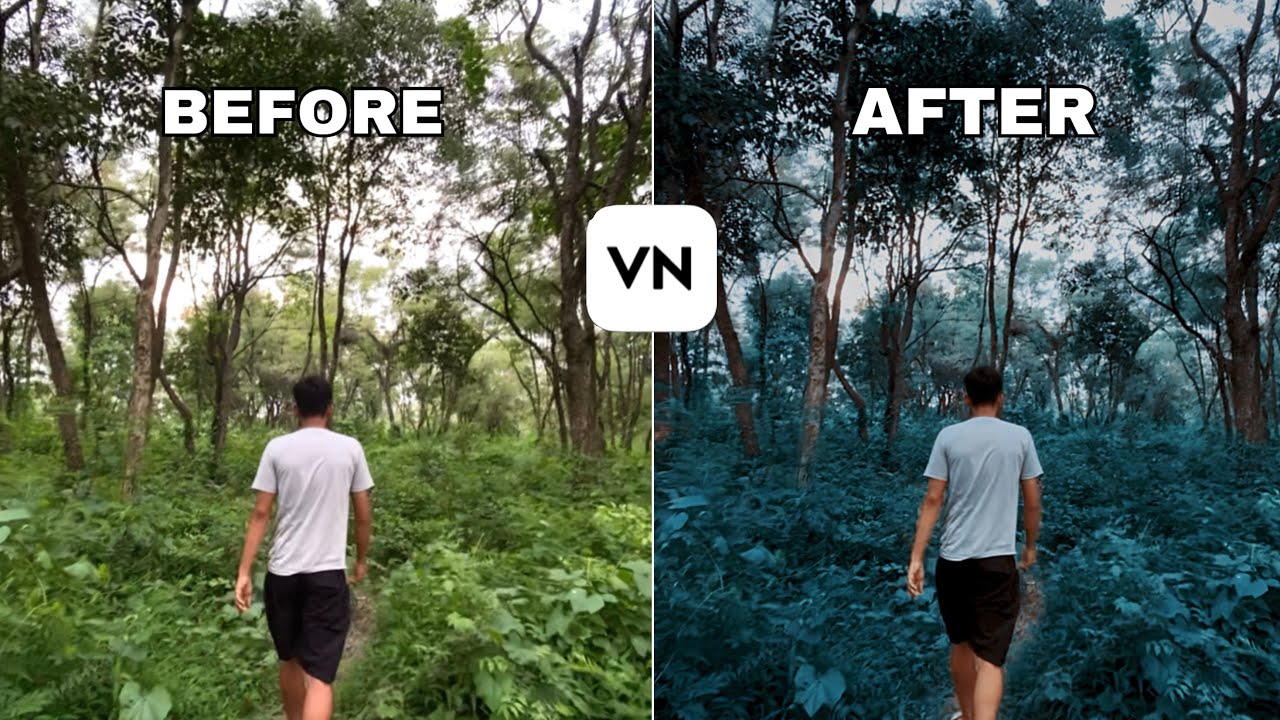TOP 3 Awesome filters for Cinematographers and vloggers