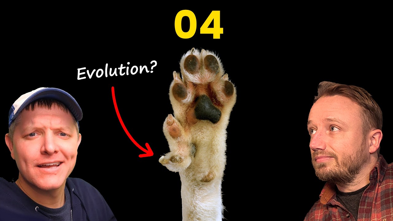 Flagella Evolution 04: Evolution by Duplication
