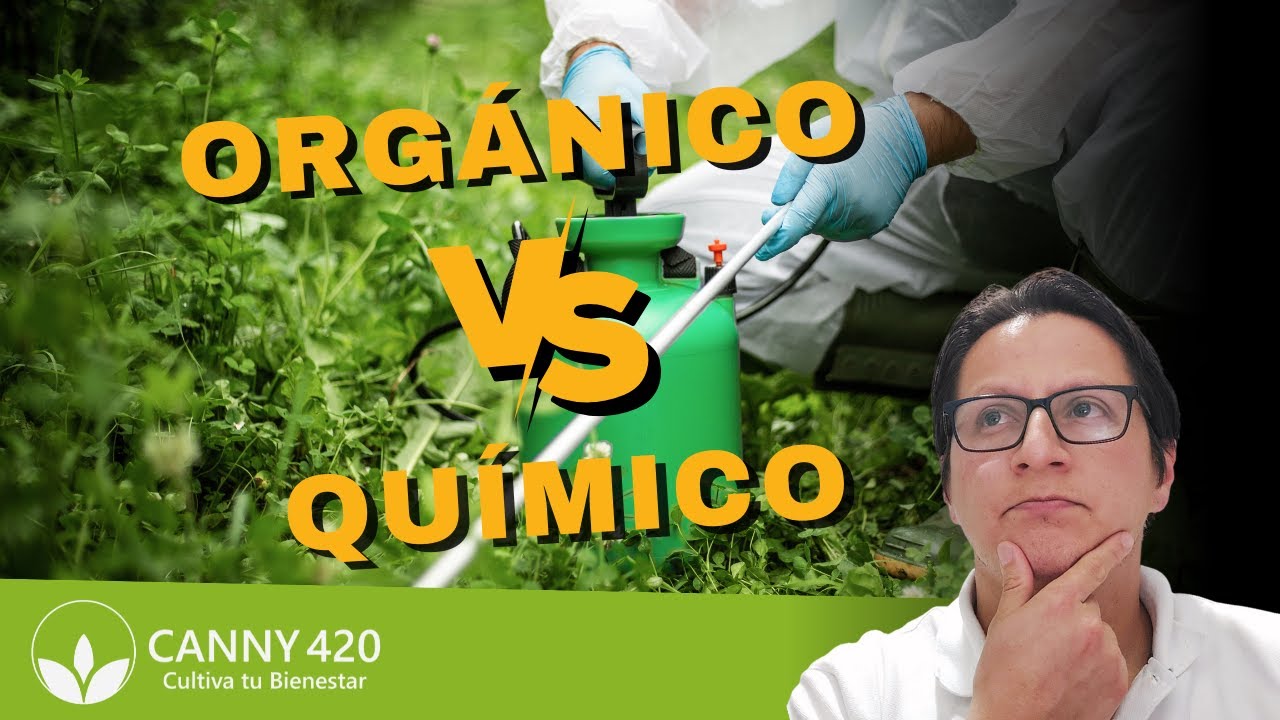 Fertilizaci&oacute;n Org&aacute;nica VS Qu&iacute;mica