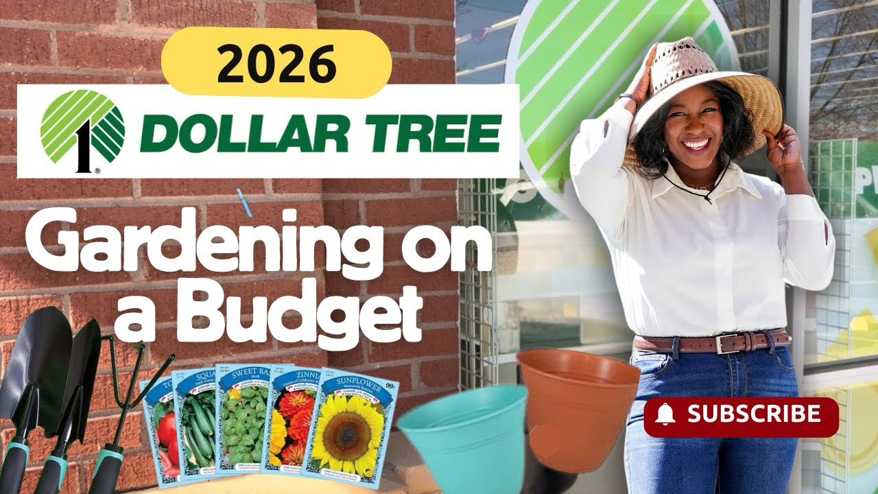 Gardening on A Budget at Dollar Tree 