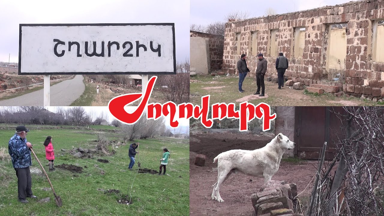Թոռնիկ եմ ունեցել, չեմ մոտեցել․ ինչ իրավիճակ է Շղարշիկ համայնքում