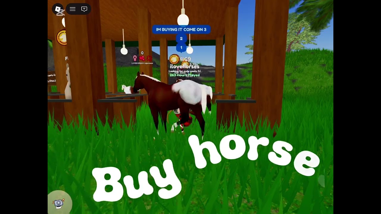 My wild horse island trailer!!! With ILOVEHORSES