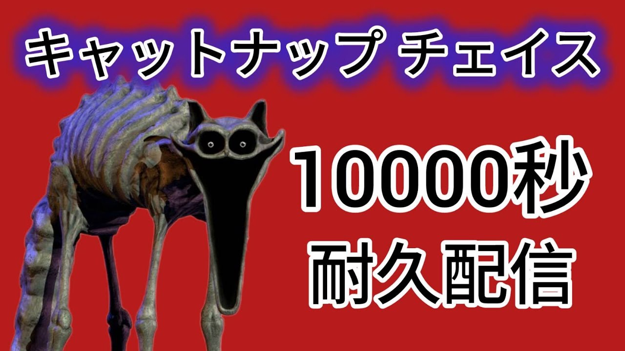 キャットナップチェイス 10000秒耐久配信🌙
