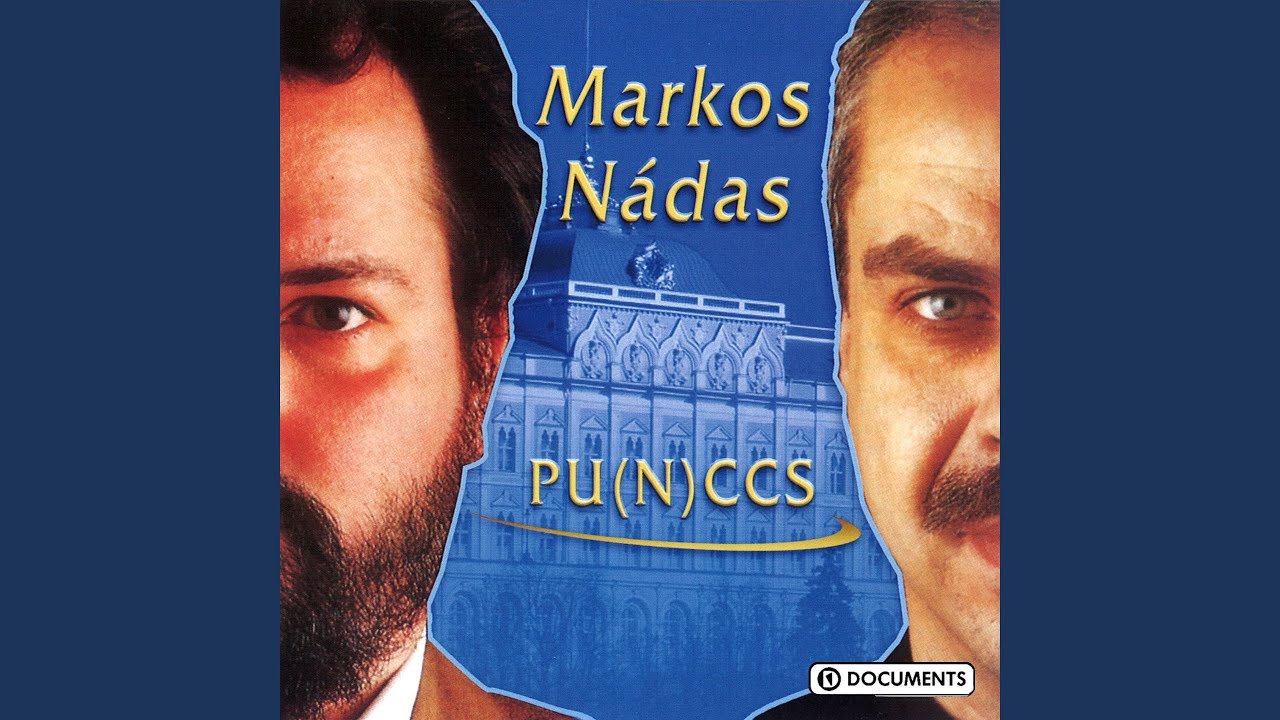 Pu(n)ccs