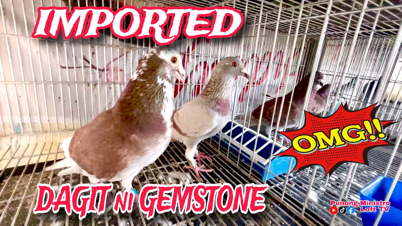 EP436 - MAY DAGIT SI GEMSTONE IMPORTED ANG GANDA!