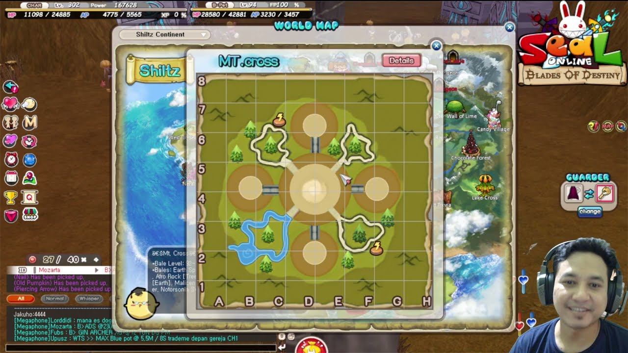EVO FINAL STAGE BATTLE PET LIGHT SPIRIT LEVEL 95 : SEAL BOD