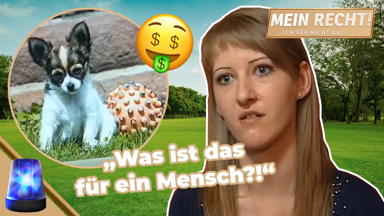 Auf den HUND gekommen🐕 Vom Züchter um die ANZAHLUNG betrogen! 🤑| Mein Recht! Ich geb nicht auf | ATV