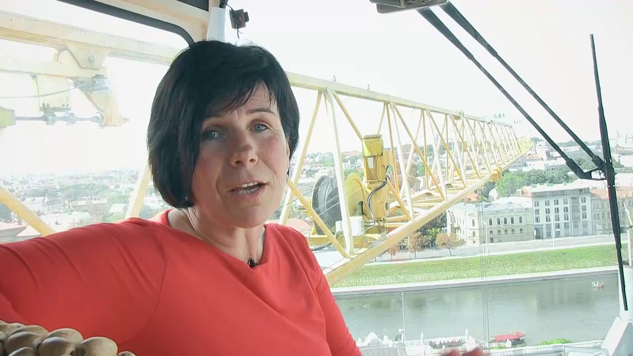BALTIC CRANES LOGISTICS krano operatore Ingrida