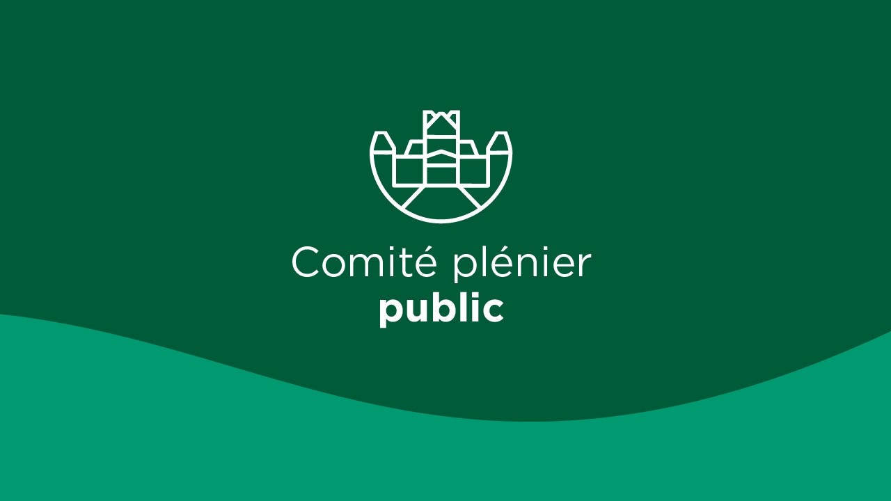 Comité plénier public du 10 mars 2026