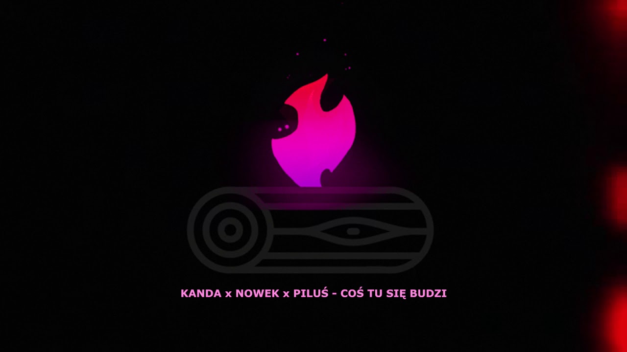 kanda, nowek, piluś - coś tu się budzi