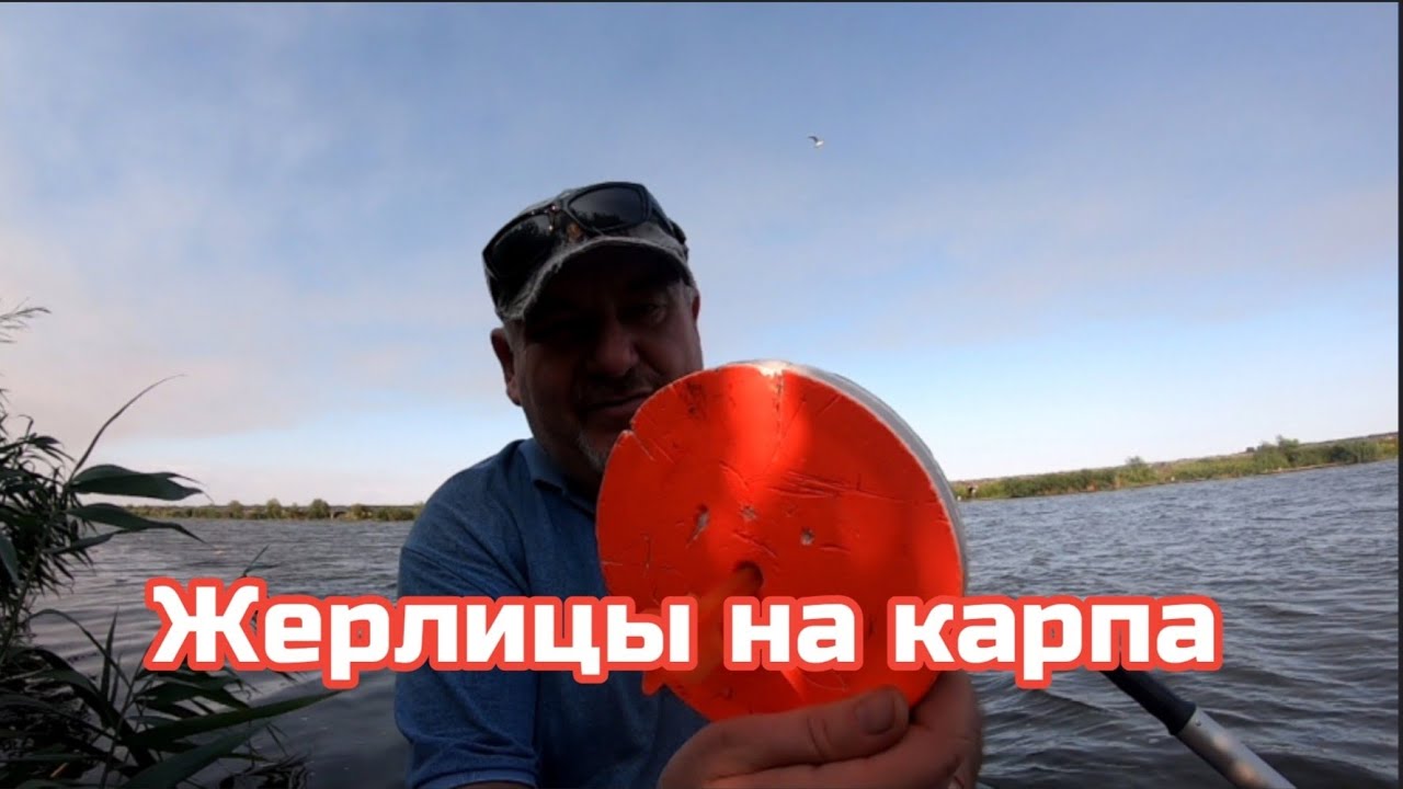 р.Днестр Ловим карпа на кружки .База Белуга .
