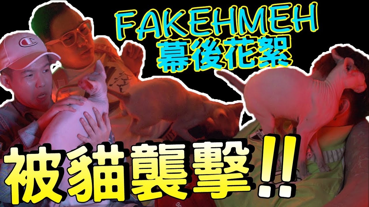 FAKEHMEH 幕後花絮！被貓的蛋蛋摩擦臉！
