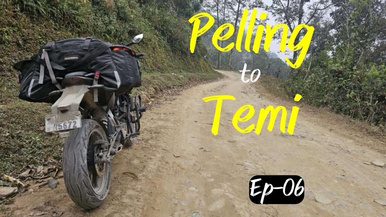 Pelling to Temi Via Ravangla | Buddha Park | Day 6 | West Sikkim 2024